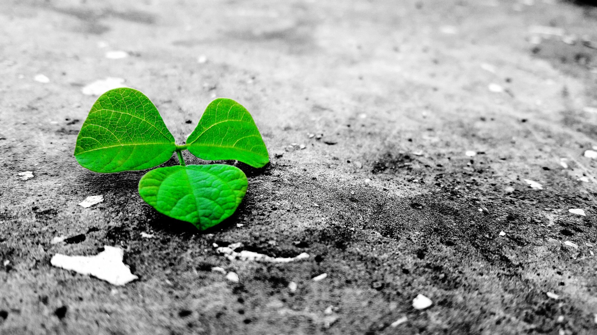 GREENHOUSE GASES. WILL A NEW TAX-FREE FEE BE INTRODUCED?